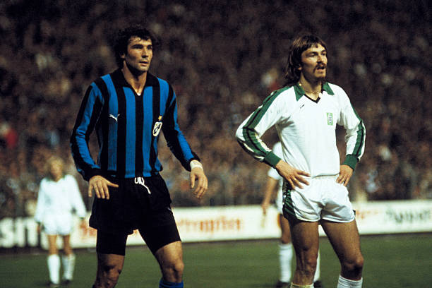 这一行动或 这一行动或